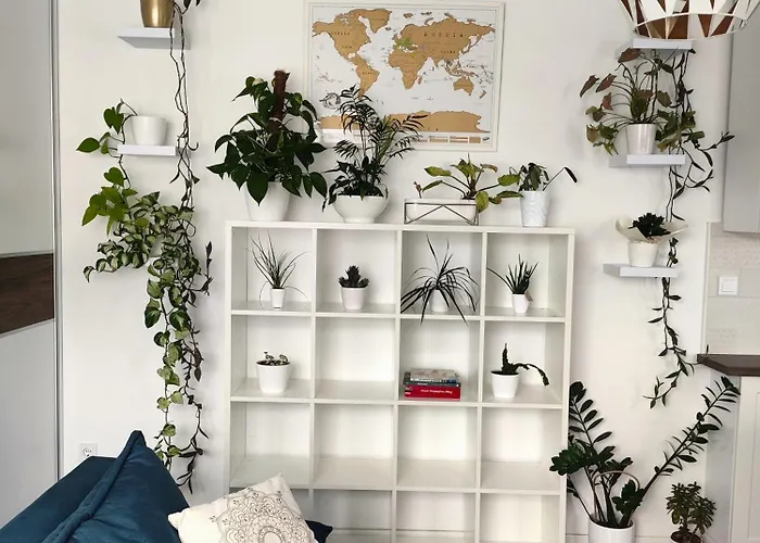 Nono's Flat Apartament Szombathely